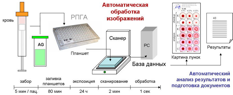 Автоматическая обработка: распознавание результатов РПГА с помощью сканера Автоматическая обработка: распознавание результатов РПГА с помощью сканера